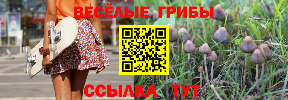 Псилоцибиновые грибы Cubensis  Вход с VPN  Краснокаменск 